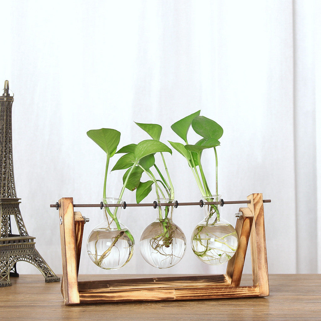 Dry Flower Vase • Solid Wood Hydroponic Bulb